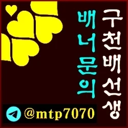 메이저카지노 메이저바카라 배너문의